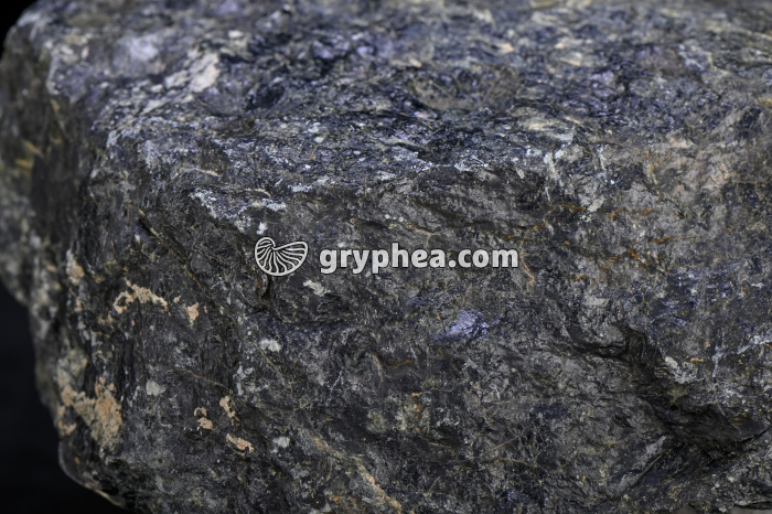 Péridotite - détail (Massif du Chenaillet, Alpes) - gryphea.com